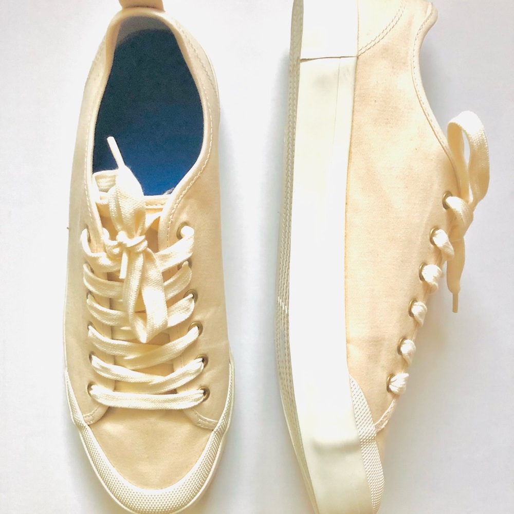 Gap. Canvas sneakers. Size 10. New, never worn.